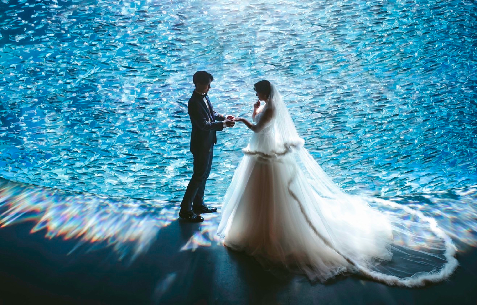 ロケーションフォトの写真