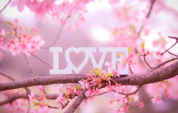 ウエディングフォト|前撮り|札幌コンシェル