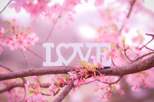 ウエディングフォト｜前撮り｜札幌コンシェル