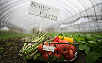 札幌の人気結婚式場|センティール・ラ・セゾン中島公園|L